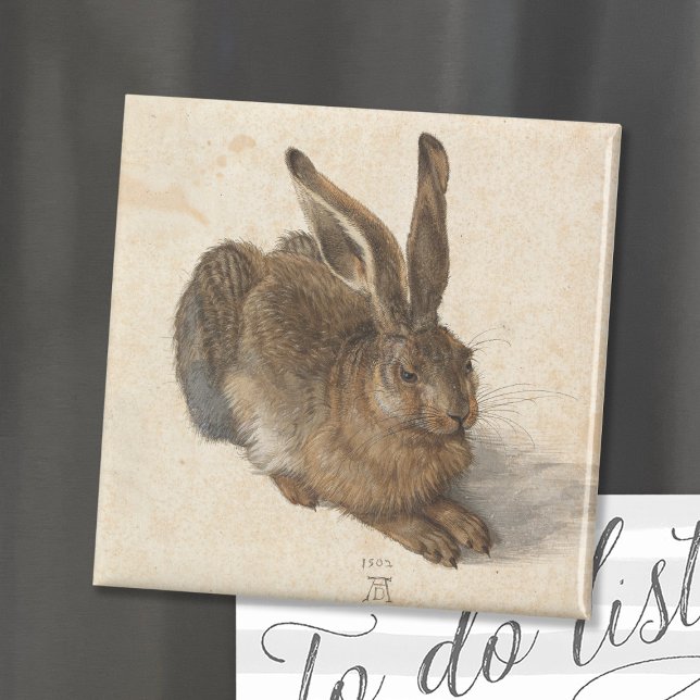 Aimant Jeune lièvre | Albrecht Dürer (Créateur téléchargé)