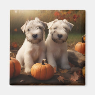 Aimant Jeune Terrier Wheaten Délice d'Automne Citrouille