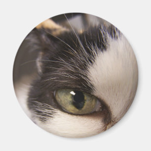 Aimant J'observe