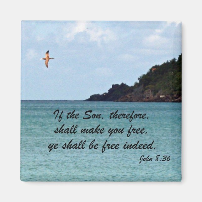 Aimant John 8:36 (Devant)