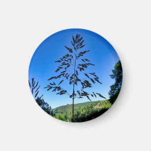 Aimant Johnson Grass