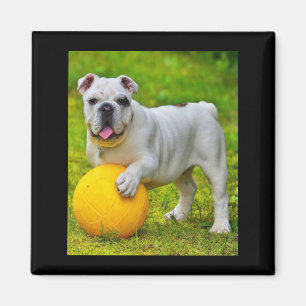 Aimant Joli cadeau de Bulldog Basketball Bulldog Lover an