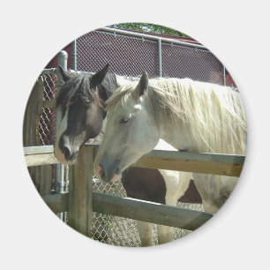 Aimant Joli cheval