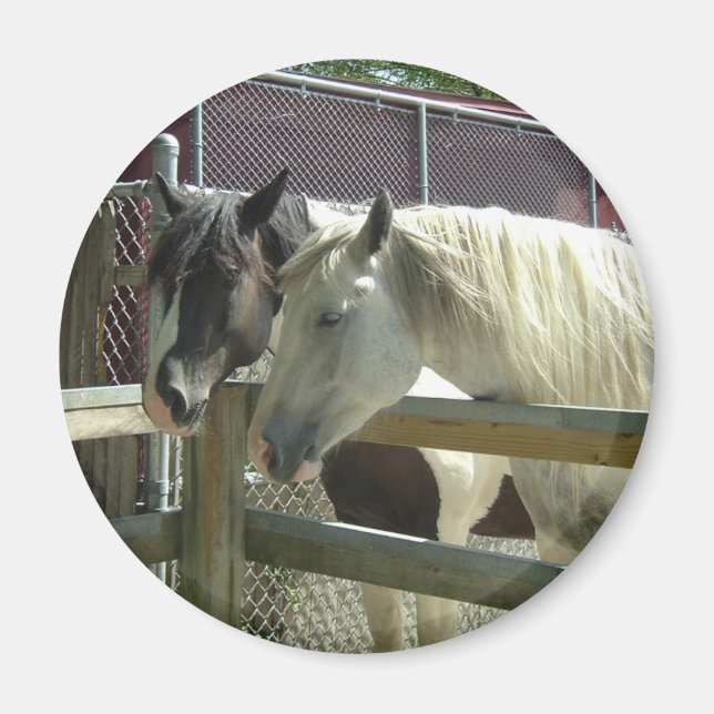 Aimant Joli cheval (Devant)