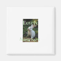 Joli nom de photo de lapin de compagnie vert paste