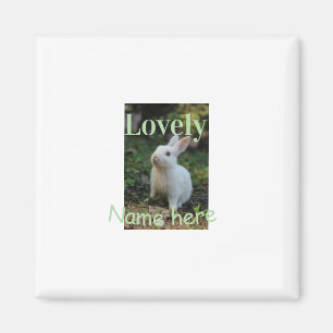 Aimant Joli nom de photo de lapin de compagnie vert paste