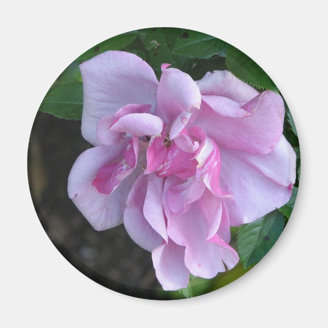 Aimant Jolie Dame 092 (Devant)