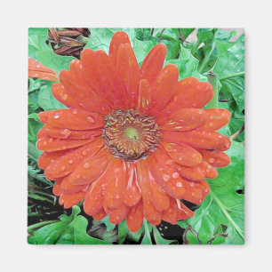 Aimant Jolie fleur rouge avec Raindrops