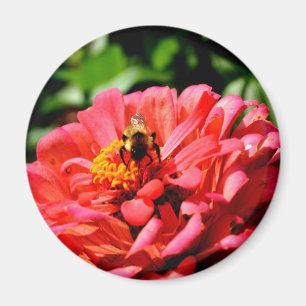 Aimant Jolie fleur rouge et abeille de miel