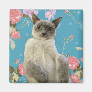 Aimant Jolie Kitty