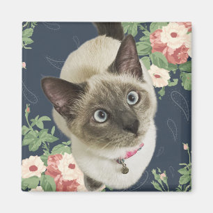 Aimant Jolie Kitty