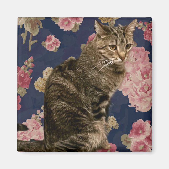 Aimant Jolie Kitty (Devant)