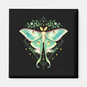 Aimant Jolie papillon lune Moth Belle papillon Amoureux d