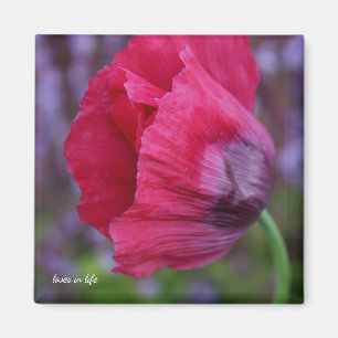 Aimant Jolie Pic et Pavot Violet Flower