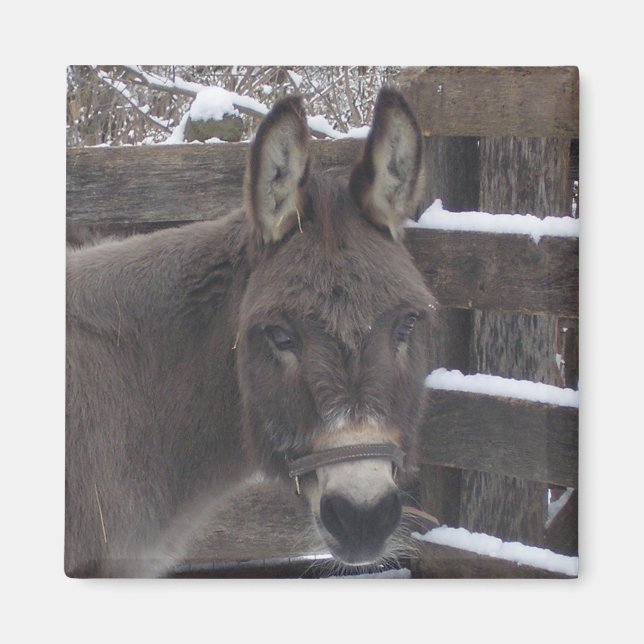 Aimant Jonathan (Devant)