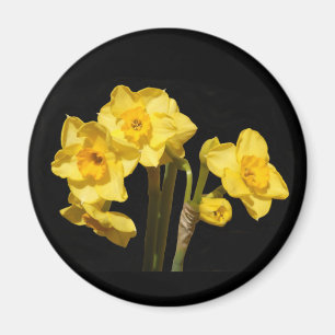 Aimant Jonquil fleurit l'aimant