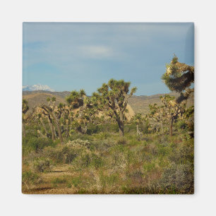 Aimant Joshua Tree National Park Paysage du désert