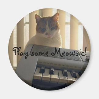 Aimant Joue à Meowsic !
