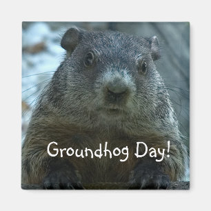 Aimant Jour de Groundhog ! !