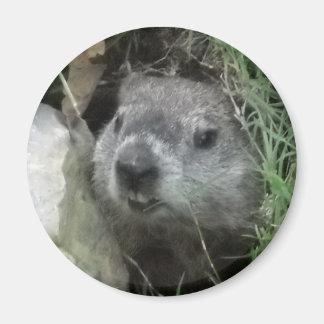 Aimant Jour de la marmotte