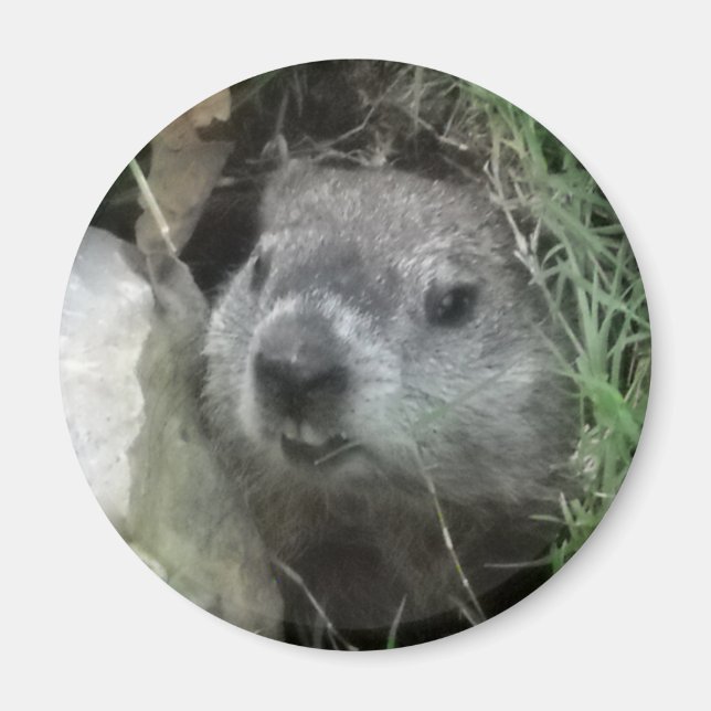 Aimant Jour de la marmotte (Devant)