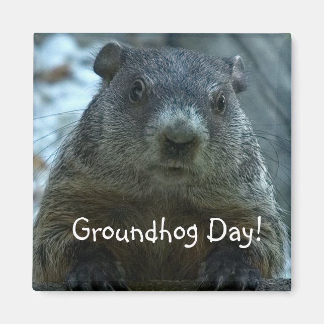 Aimant Jour de la marmotte ! ! (Devant)