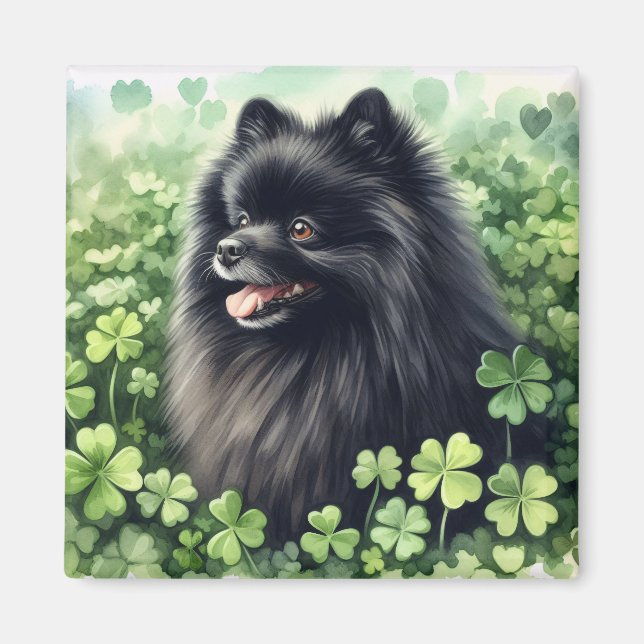 Aimant Jour de la Saint Patrick noir de Poméranie (Devant)