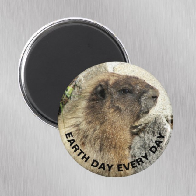 Aimant Jour des terres chaque jour Hoary Marmot Photo (Créateur téléchargé)