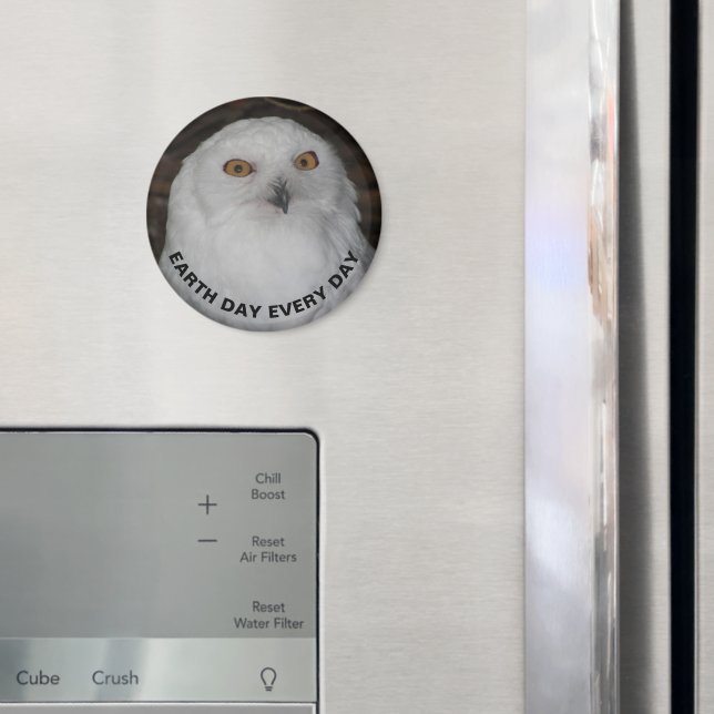 Aimant Jour des terres tous les jours Snowy Owl Photo (In situ (réfrigérateur))