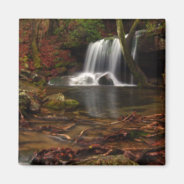 Aimant Jour pluvieux à Laurel Falls (Devant)