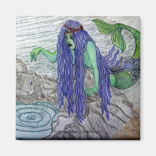 AIMANT JOURNAL TIDEPOOL