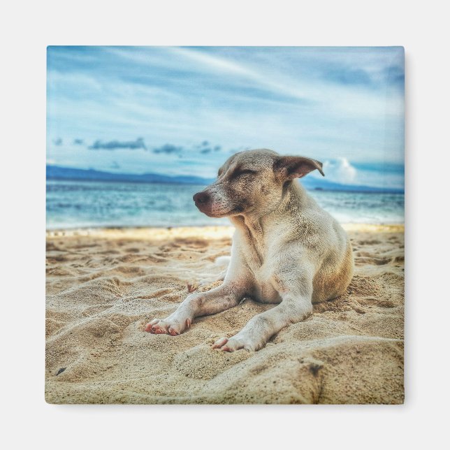 Aimant Journée de farniente de chien à la plage, Ocean Sa (Devant)