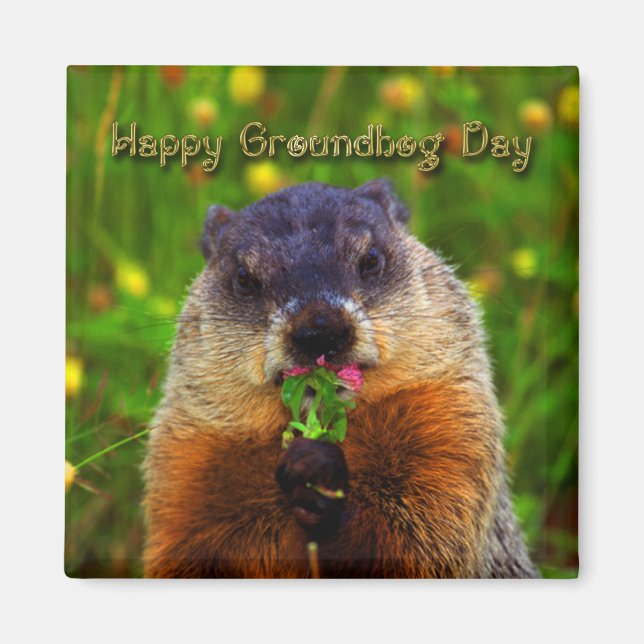 Aimant Joyeuse Journée de la marmotte Mangeant la fleur (Devant)