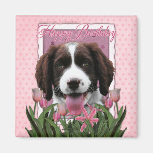 Aimant Joyeux anniversaire - Anglais Springer Spaniel - B
