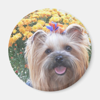Aimant Joyeux chien