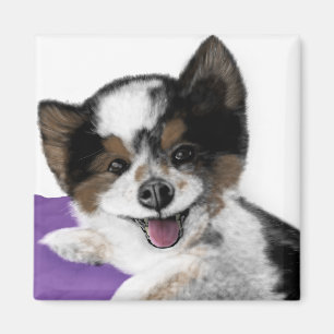 Aimant Joyeux visage de chien