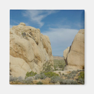 Aimant Jumbo Rocks au parc national Joshua Tree
