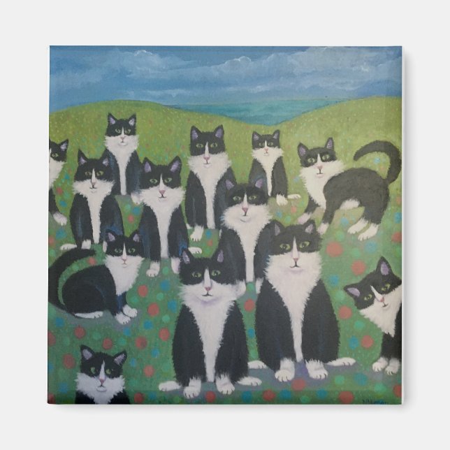 Aimant Junction Tuxedo (Devant)