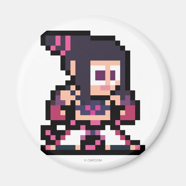 Aimant Juri à 8 bits (Devant)