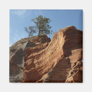 Aimant Jusqu'à Angels Landing dans le parc national de Si