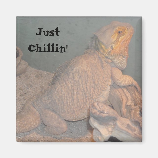 Aimant Juste Chillin' - Dragon barbu (Devant)
