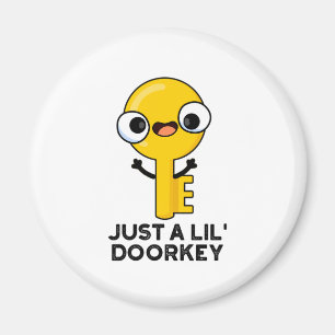 Aimant Juste Une Clé De Porte Lil Drôle Drôle Clé Dorky P