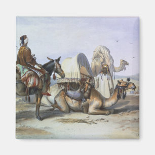 Aimant Kafila avec un chameau soutenant un Hodesh,