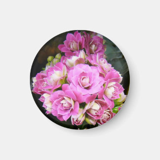 Aimant "Kalanchoé"