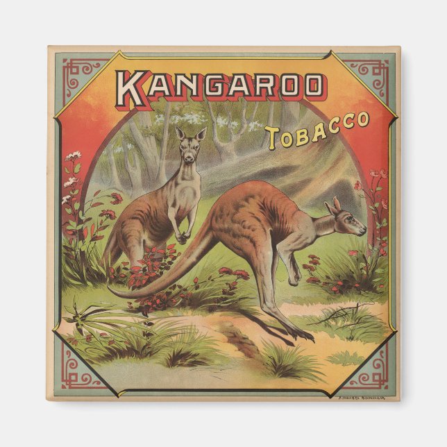 Aimant Kangaroo Tobacco 1900 (Devant)