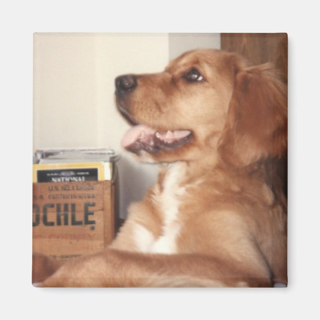 Aimant Katie (Devant)