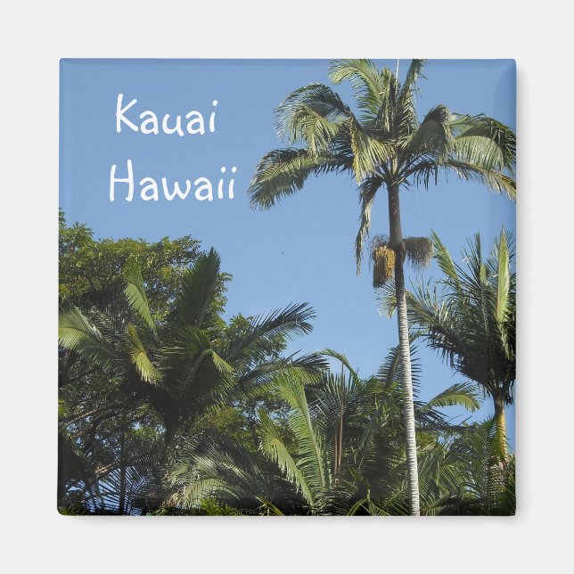 Aimant Kauai Hawaii (Devant)
