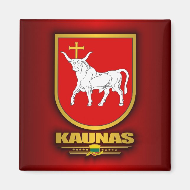 Aimant Kaunas (Devant)