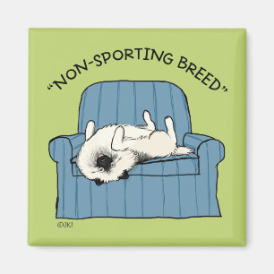 Aimant Keeshond "race Non-Sportive" Keesie humoristique