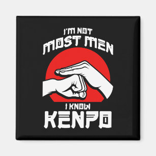 Aimant Kenpo Agressive Self Defense Karate Martial Arts